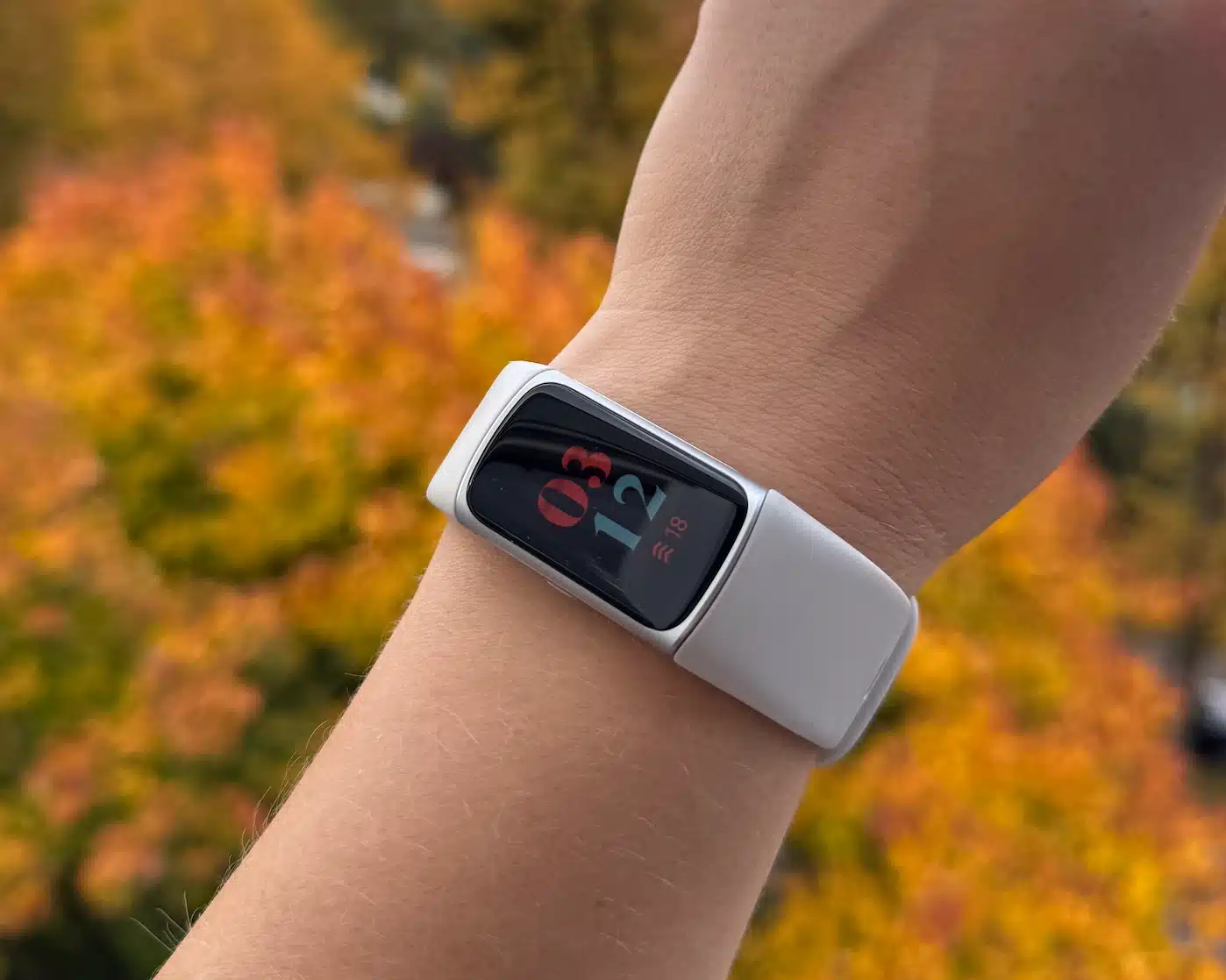Fitbit Charge 6 Test